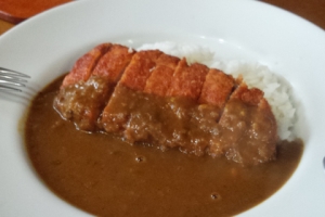 西湖でデイキャンプ