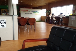 うんとcafe