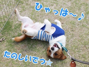 サンちゃん
