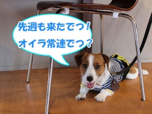 うんとcafe