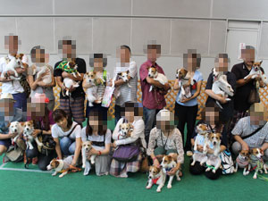 DOG!フェスタ
