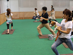 DOG!フェスタ