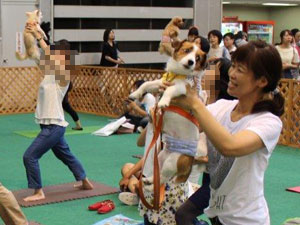 DOG!フェスタ
