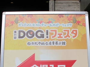 ジャックラッセルテリア