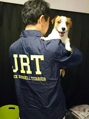 ジャックラッセルテリア