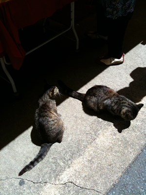 100725_IMG_0012.jpg