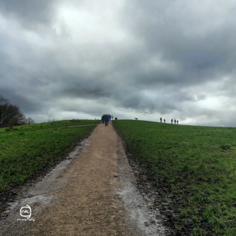nalblog.com nalブログ。写真と旅と言葉たち ロンドン観光 ハイゲイト墓地 身の毛もよだつ?穴場スポット ロンドン2週目、定番スポットには一通り行った頃で夜はノースロンドンのカムデン辺りで約束があったのでそれまでちょっと郊外の穴場スポットはないかとガイドブックを見ていると、見つけました。穴場ススポットのツアー項目にタワー・オブ・ロンドンとセントポールズ大聖堂の裏側ツアーと並んで「ハイゲイト墓地ツアー」なるものを見つけました。イギリスの墓地ってどんなものだろう?地図で見るとまわりに大きな公園もあったので散歩がてら行ってみることにしました。今回の散策ルートは、ハイゲイト墓地→パーリャメントヒル→プリムローズヒル→カムデンタウンです。とりあえずチューブに乗ります。ノーザンラインに乗ってArchway(アーチウェイ)駅で降りてそこから徒歩10分ほどの道のりです。駅前のジャンクションロードを南西に4ブロック歩き右に曲がってピッカートンロードに入ります。左手に公園を見ながらしばらく歩くとDartmouth Park(ダートマスパーク)という道路に出るので、そこを左に曲がってすぐ右手のChester Road(チェスターロード)に入ります。チェスターロードを道なりに歩いていくと墓地の外壁が見えてくるので、あとは敷地の壁に沿って歩いていけば入り口にたどり着きます。チェスターロードを歩いて墓地に向かいます。右手がハイゲイト墓地の外壁です。チェスターロードから見た墓地の風景。夜はたしかにホラーかもしれません……。西側の入り口。ツアー申し込みは入ってすぐ左手の窓口で行います。東側の入り口はこの真向かいです。 墓地は西と東に分かれており、西側は1839年3月20日、1860年には東側ができました。当初は民間企業が運営していましたが、1970年代になると経営が立ち行かなくなって墓地は荒れ果てていきました。墓地を救ったのは有志の働きで、再び墓地は一般公開されるようになりました。現在は入園料を墓地の維持保存に当てて運営を続けているそうです。墓地は自然保護区にあり、季節の花々や小動物も見られるそうです。景観のいい自然豊かな公園も隣接しているので、ゆったり散歩するのもいいかもしれません。東側は入場料£4で自由に見学でき、西側は£12でツアーでの見学となります。 開園時間 (3月〜10月) 平日:10am〜5pm 土日:11am〜5pm 最終入場時間:4:30pm (11月〜2月) 平日:10am〜4pm 土日:11am〜4pm 最終入場時間:3:30pm 入場料(東側) 大人:£4 18歳未満:無料 入場料(西側)ツアーのみ 大人:£12 8歳〜17歳:£6 ※ツアーに参加することができるのは8歳からです。 平日のツアーは予約制で、ツアー開始は午後1時45分からです。予約はWest Cemeteryのホームページから予約できます。土日のツアーは予約不可ですが、通常午前11時〜午後4時(11月から2月までは午後3時まで)の間で30分おきにツアーが行われています。筆者が行った日は、平日で予約もしていなかったため、東側の墓地に入ることにしました。 入り口付近の様子。墓地は緑に囲まれて花も咲いています。 ネットで調べるとホラースポットやドラキュラの逸話などオカルト系の話も出てくるこのハイゲイト墓地、外から見ても少し薄気味悪い感じはしたので多少ビビりつつだったのですが、中に入ってみると意外と穏やかな雰囲気でした。古い木々に囲まれ花の豊かに咲くところもあれば墓石に苔やツタが絡まる古いお墓もあり、日本の墓地とはまた様子が違っていました。墓石に刻まれている文字を一つ一つ見てみると、愛する人を失った悲しみだけではなく故人に対する愛情がじんわりと感じられるようなメッセージが多くありました。文字で残すメッセージの他にも、墓石の上に置かれた一本の赤いバラはとても印象的で、なくなった後でも残る想いが伝わってきました。カール・マルクスやジョージ・エリオットの墓地もこちらの東側にあります。さて、赤いバラの花で温かい気持ちに満たされたところで、墓地を出て南に向かいParliament Hillを目指します。丘に登ってロンドンの街を見渡します。犬を連れて散歩する人や凧揚げを楽しむ家族、寒空の下でもそれぞれの時間を楽しんでいるようでした。もう少し歩いてまわる予定でしたが風が強く予想以上に冷え込み、写真を撮っていたら手先から凍るように寒くなったので予定変更。丘を下って池を渡りHampstead Heath(ハムステッドヒース)駅を目指して歩きます。ハムステッドヒース駅からPrimrose Hill(プリムローズ・ヒル)という小高い丘までは徒歩で30分程、チューブだと、ノーザンラインに乗って2駅南のChalk Farm(チョーク・ファーム)駅で下車、そこからまた南に10分程歩くと丘の麓に到着します。時折木が生えるきれいに整備された芝生の間の小道を歩き緩やかな丘を上っていきます。丘から見渡すロンドンの街並はなんだか意外な程にこじんまりとしていて、空をとても広く感じました。あのザ・シャードがちょうど中央に見えるのもロンドンという都市が綿密につくられていることの象徴ではないでしょうか。このプリムローズヒルの向かいには、ロンドン動物園のあるRegent's Park(リージェンツパーク)があり、こちらもオススメの散歩コースです。この日の歩数は31,208歩、総距離21.9km。どこを歩いても飽きない街、ロンドンです。参考資料 Lonely Planet Pocket London guide book Highgate Cemetery Guide Map Highgate Cemetery ホームページ 周辺マップ 写真:©2016 Yuko Yamada. All Rights Reserved. このブログに掲載されている画像等の無断転載はご遠慮ください。