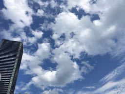広島駅周辺 nalblog.com なんとかなる。なんとかする。2017年7月17日(月)海の日 健康記録 2017年7月17日(月)海の日 晴れ・曇り 歩数:16,039歩 歩いた距離:10.1km 睡眠時間:5時間48分 マインドフル時間:5分 前日は日付が変わる頃に就寝、睡眠時間はいつもより少なめです。この日は広島で開かれているケベック映画祭最終日。広島中央図書館に併設されている映像文化ライブラリーへ映画を観に行きました。カナダのケベック州出身の監督作品5作品が5日間に渡って上映され、そのうち2作品がずっと観たいなぁと思っていたグザヴィエ・ドランの作品でした。2014年発表の「Mommy」を観た時もですが、色やカメラワークなどの表現方法がとても印象的で、「そのまま」な感じがいいなぁと感じました。 この日は夕方から撮影の予定だったので、映画鑑賞後、図書館の食堂でカツ丼を食べて図書館で本を借り、それから街を散策することにしました。とりあえず広島城〜広島駅を歩いてみました。縮景園から見える川沿いを歩いてみようと道を探しましたが、反対側しか歩けないようで、断念。橋を渡って広島駅の南口の川沿いを少し歩きました。お昼を回って一番暑い時間だったので、くじけそうになりましたが、途中コンビニに寄ったり木陰で休んだりして暑さをしのぎました。蔦屋家電の入り口から噴き出してくる乾いた冷気にも2度救われました。街の暑さは鉄板の上を歩いているようにグツグツと体内に熱が溜まっていくような暑さで、自然の暑さとはまた違うなーとお上りさんは思うのでした。 広島駅からバスに乗って横川まで移動。コンビニであんぱん・クッキー・豆乳を購入してそのまま河原に直行しました。日が落ち始めるまでまだ2時間ほどあったので、風の通る橋の下で休憩をとりました。川辺で涼む人、バーベキューをする家族連れ、芝生でフリスビーを楽しむ学生、ランニングをする人たち。河原でもそれぞれの時間が流れていました。 この日はビデオ中心に撮影しました。DSLRの動画機能を使っての撮影です。まだ全然練習段階なのですが、作品も出し始めたので数をこなして技を磨いて行きたいと思います。 というわけで、10km近くをバックパックを背負って歩き肌もすっかり小麦色。お出かけ用の革靴を履いての歩きでしかも靴下が薄かったため大きなマメができましたが、新しいものを見て感情を揺さぶられ、刺激的で充実した一日でした。