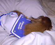 20090308053941.jpg