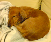 20090321220819.jpg