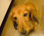 20091205211153.jpg