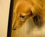 20091205213112.jpg