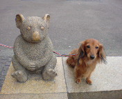 20100109211708.jpg