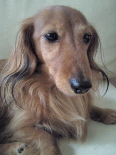 2010053113580000.jpg