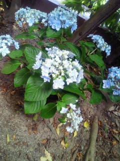 2010053113240001.jpg