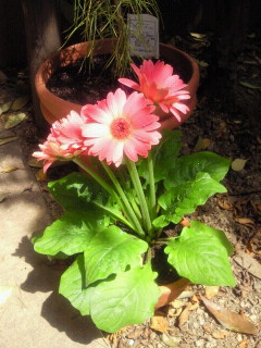 2010053113230001.jpg
