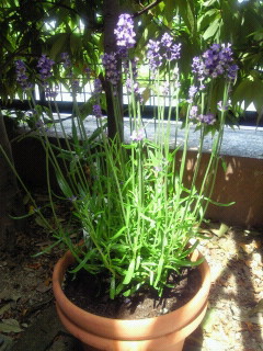 2010053113230000.jpg