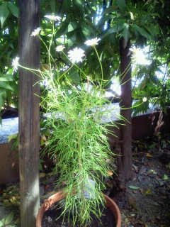 2010053113240000.jpg