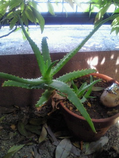 2010053113240002.jpg