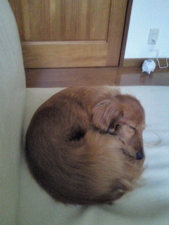 2010053114140000.jpg