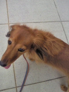 2010092015130000.jpg