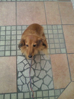 2010092015420000.jpg
