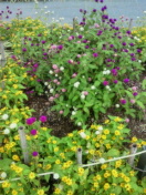 2010092020360000.jpg