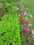 2010092020350000.jpg