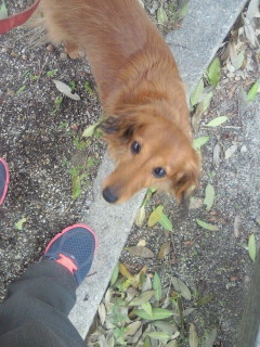 2011042713270000.jpg