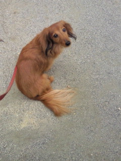 2011042713290000.jpg