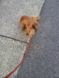 2011070605330000.jpg