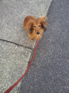 2011070605330001.jpg