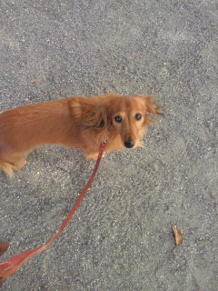 2011110911290000.jpg