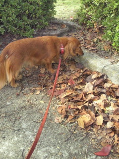 2011110911330000.jpg