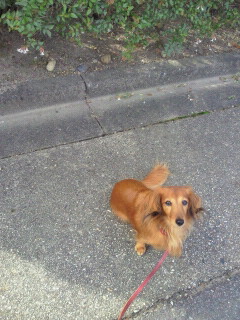 2011110911390000.jpg