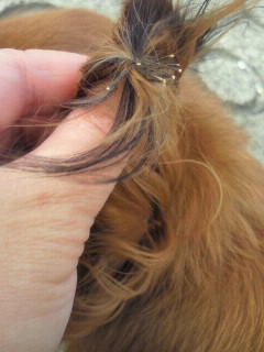 2011110911460000.jpg