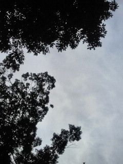 2011111011240000.jpg