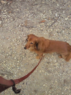 2011111011240001.jpg