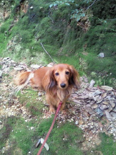 2011111011420001.jpg
