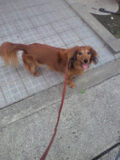 2012061818590000.jpg