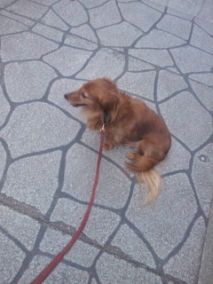 2012061819000000.jpg