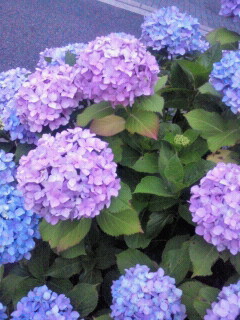 2012061819020000.jpg
