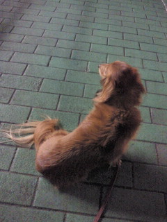 2012062819440000.jpg