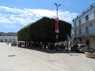 bari20170504.6.jpg