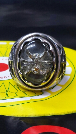 hide LEMONed シルバー指輪 スパイダー | ロックな古本屋ブログ