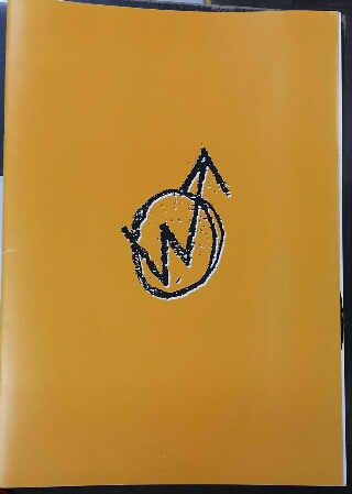 WANDS VIDEO LIVE JUNK #2 写真集 入荷 | ロックな古本屋ブログ