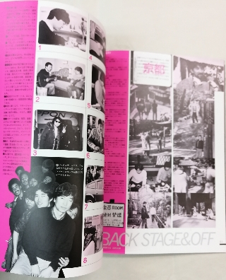 チューリップ | ロックな古本屋ブログ