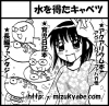 コミティアカット