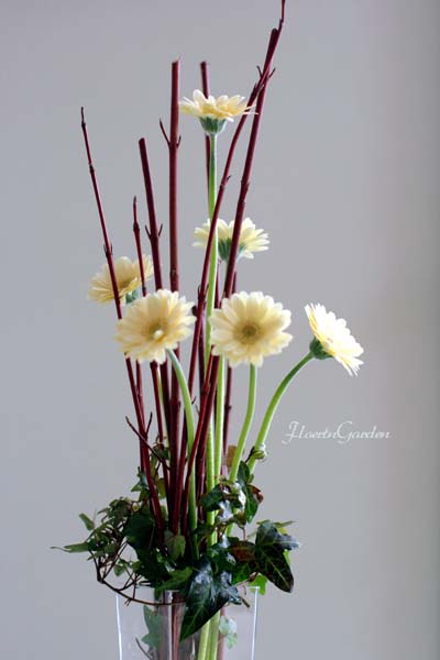 花材を撮ろう サンゴミズキ ガーベラ フラワーガーデン
