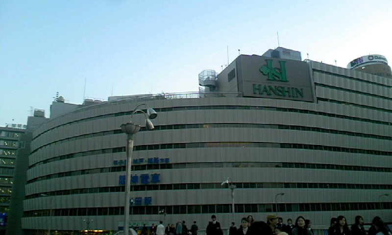 081114_1639~01.JPG